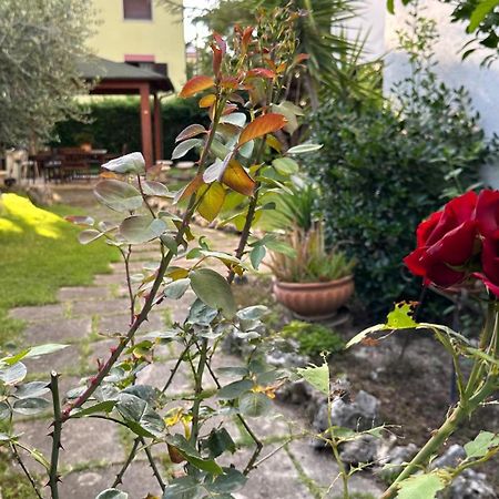 La Casa Di Gemma B&B Villa Vomano Buitenkant foto