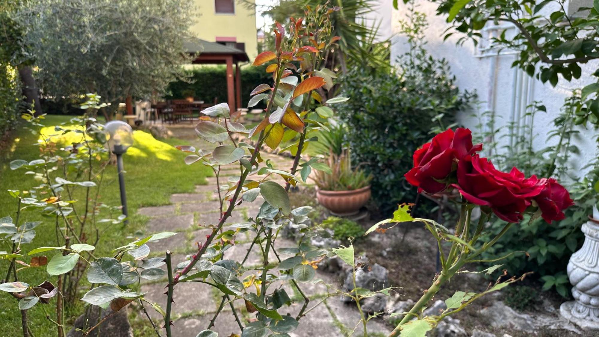 La Casa Di Gemma B&B Villa Vomano Buitenkant foto